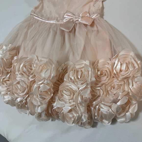 Nanette Baby Girl Dress Blush Champagne Pink Flowers 18M - Picture 6 of 9